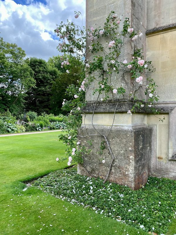 instrument de musique Violon